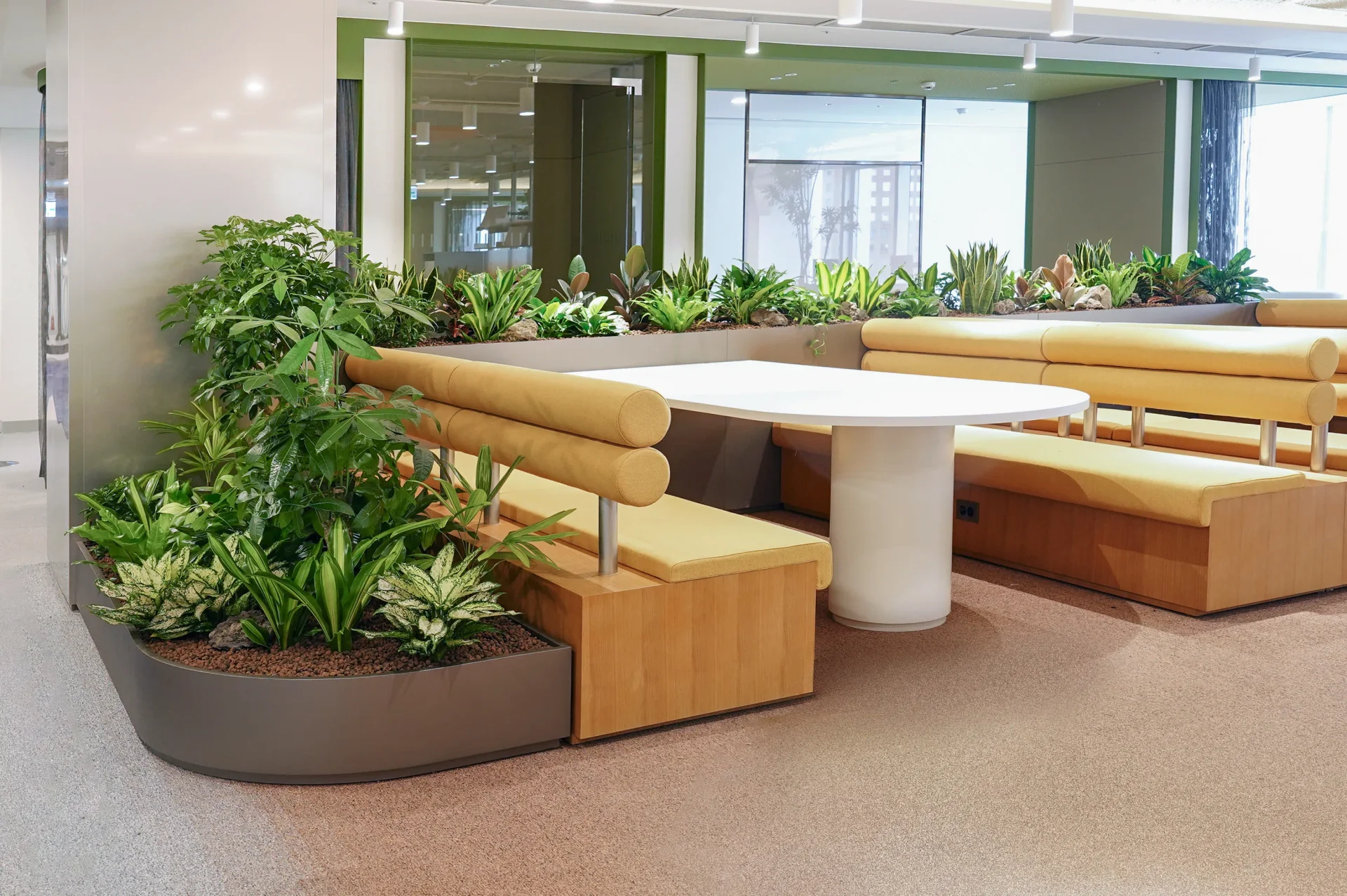옐로 벤치 소파와 나란히 배치된 퍼니처 정원. 후면의 긴 플랜트박스와 함께 공간 전체를 녹지로 감싸는 구성이다.