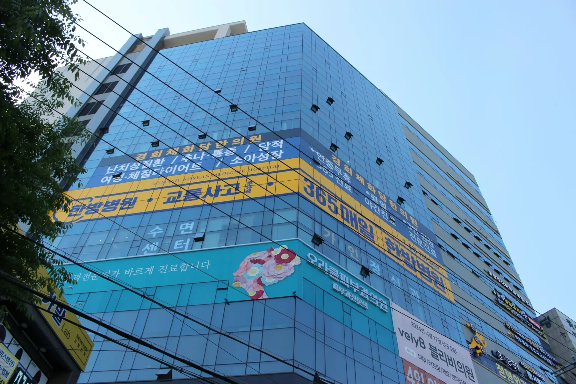 365매일한방병원 | 경기광주점