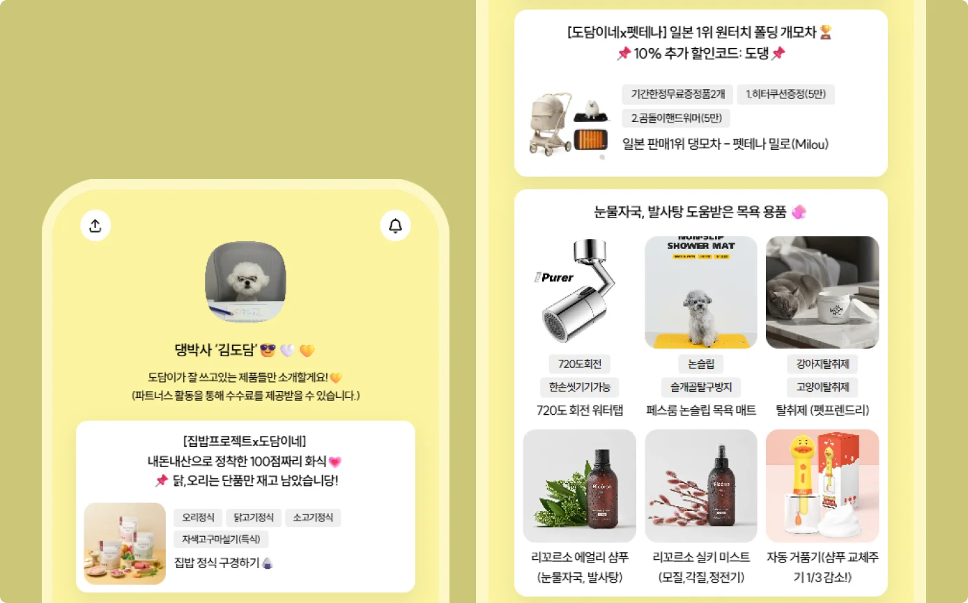 인스타 인플루언서 김도담 리틀리 활용 사례