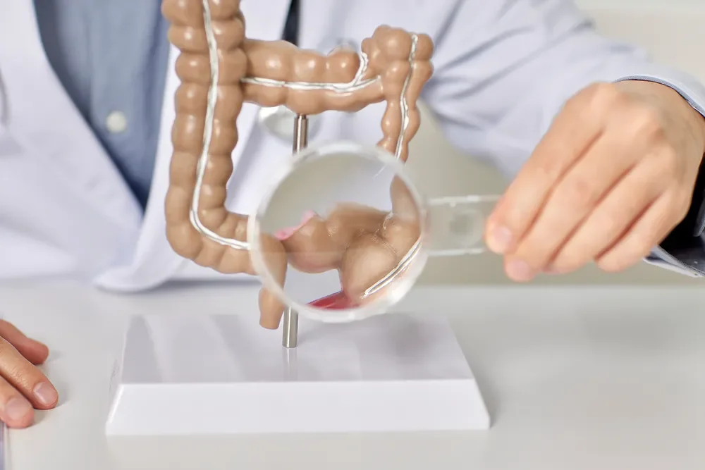 암요양병원찾기 | 힐링오아시스