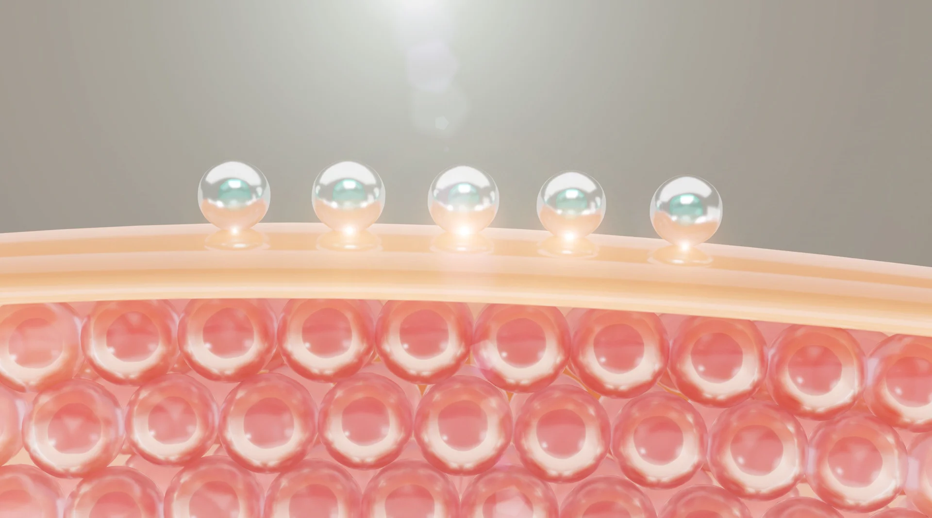 Skin Barrier Repair Products