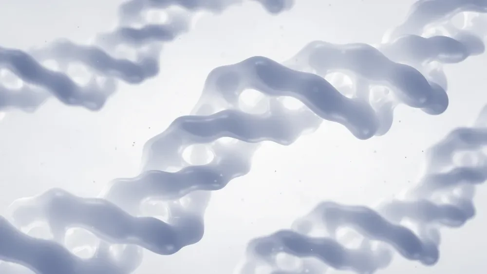 암요양병원 찾기 | 힐링오아시스