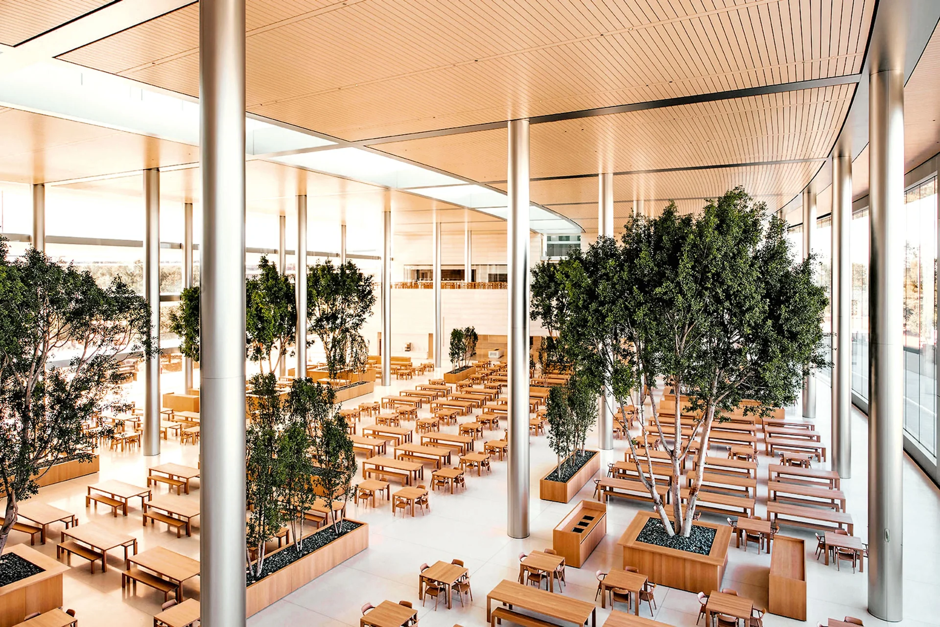 애플 본사 Apple Park 실내 식물 인테리어 플랜테리어, 대형 수목을 업무 곳곳에 배치한 사무실 실내조경 대표 사례