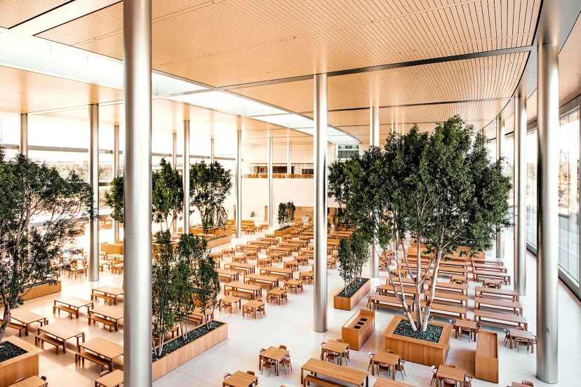 애플 본사 Apple Park 실내 식물 인테리어 플랜테리어, 대형 수목을 업무 곳곳에 배치한 사무실 실내조경 대표 사례