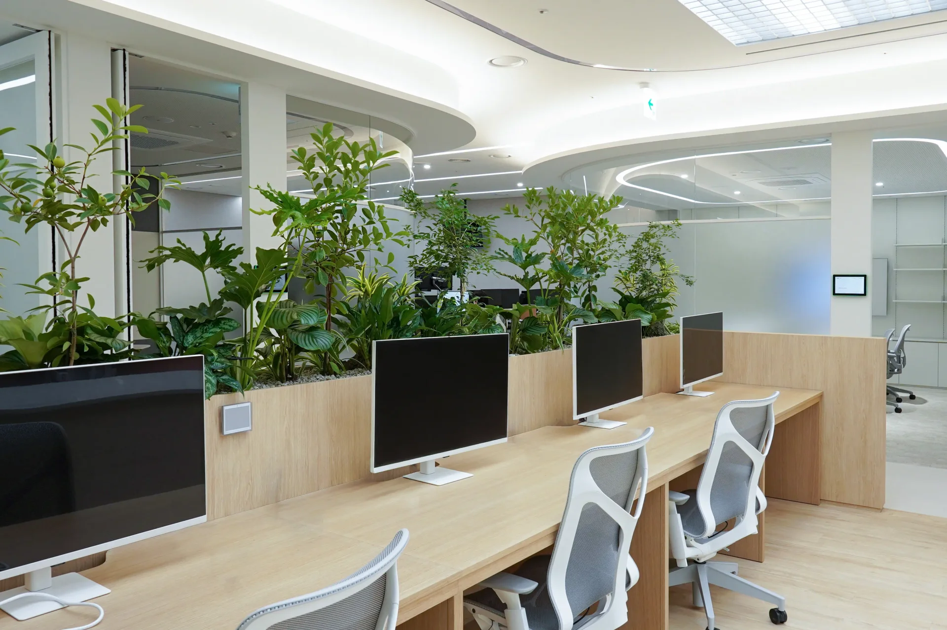 에코피플 사무실 실내조경 데스크 식물 파티션 플랜테리어
