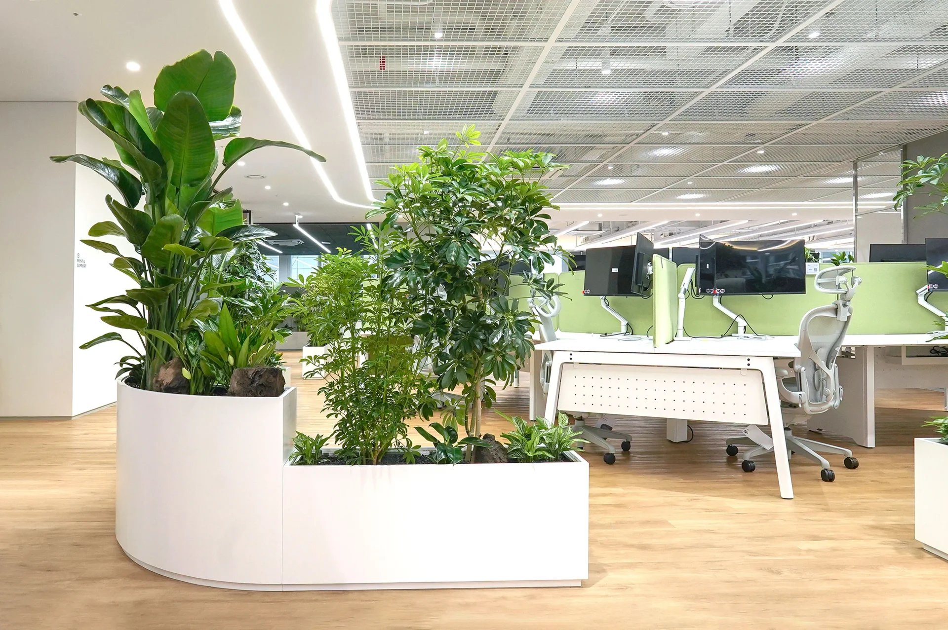 에코피플 사무실 실내조경 플랜테리어 시공 사례
