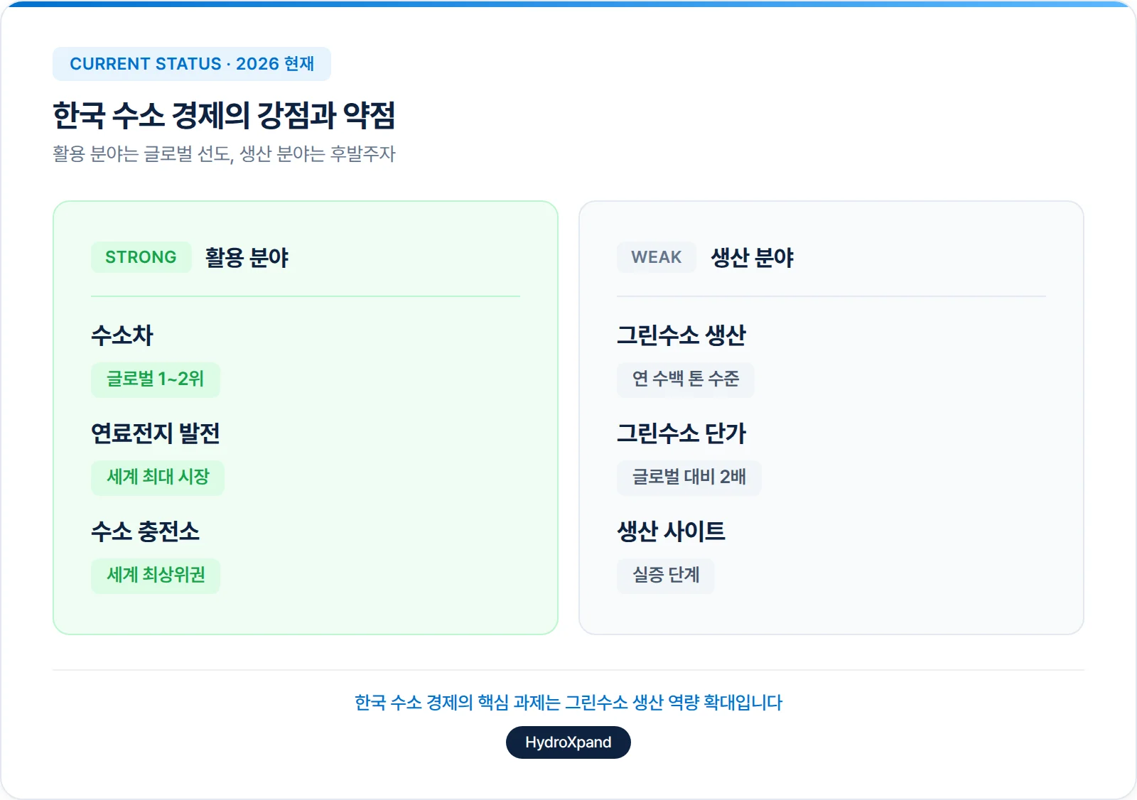 한국 수소 경제의 강점과 약점