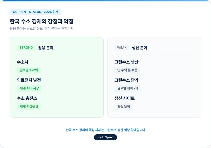한국 수소 경제의 강점과 약점