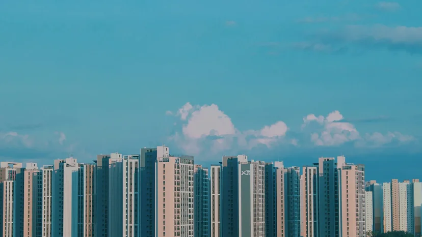 토지 거래 허가구역 양도세 세무 법인 청담택스매니지먼트