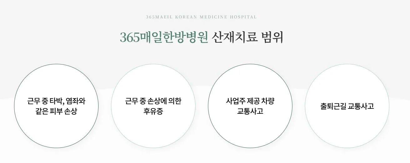 365매일한방병원