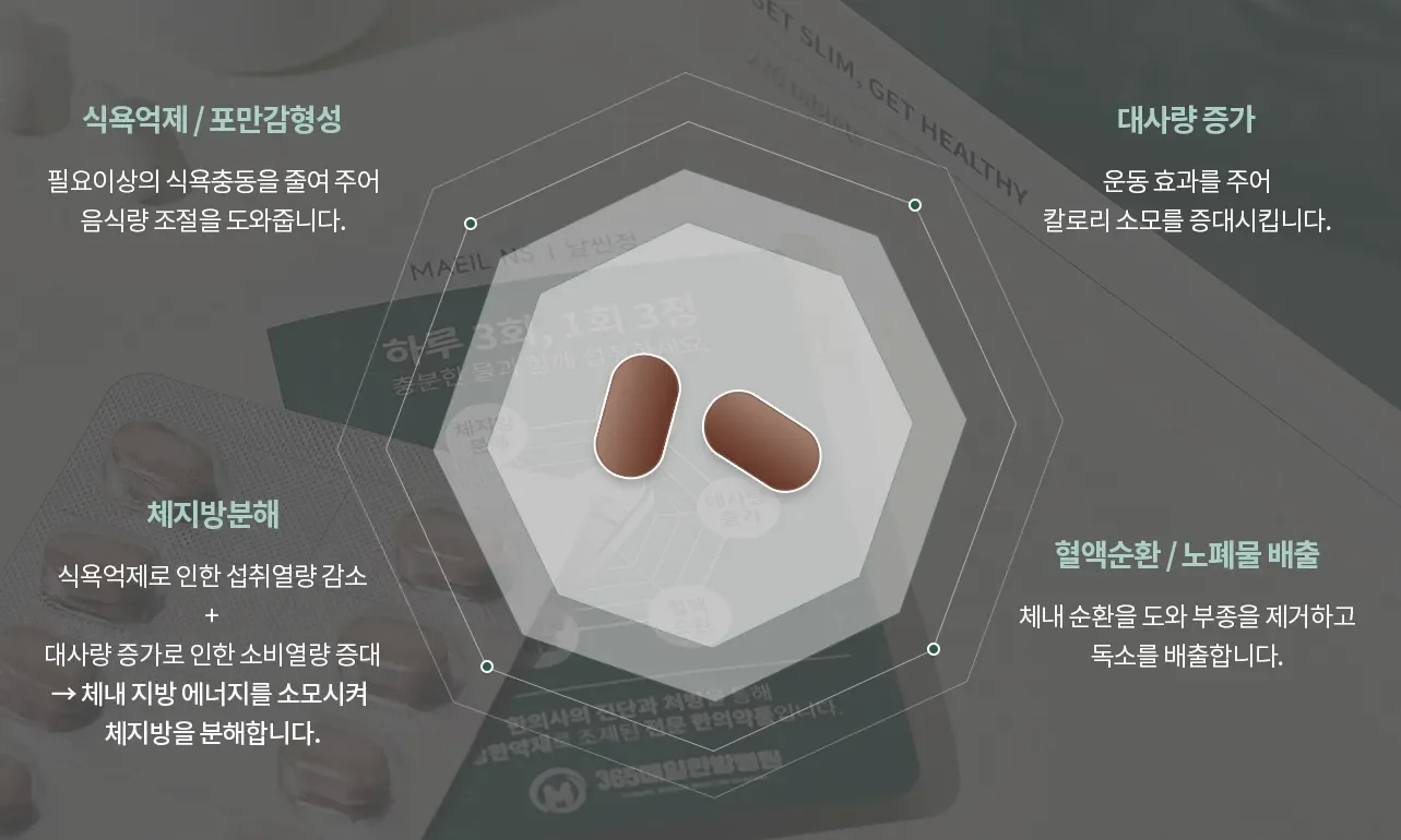 365매일한방병원 | 다이어트