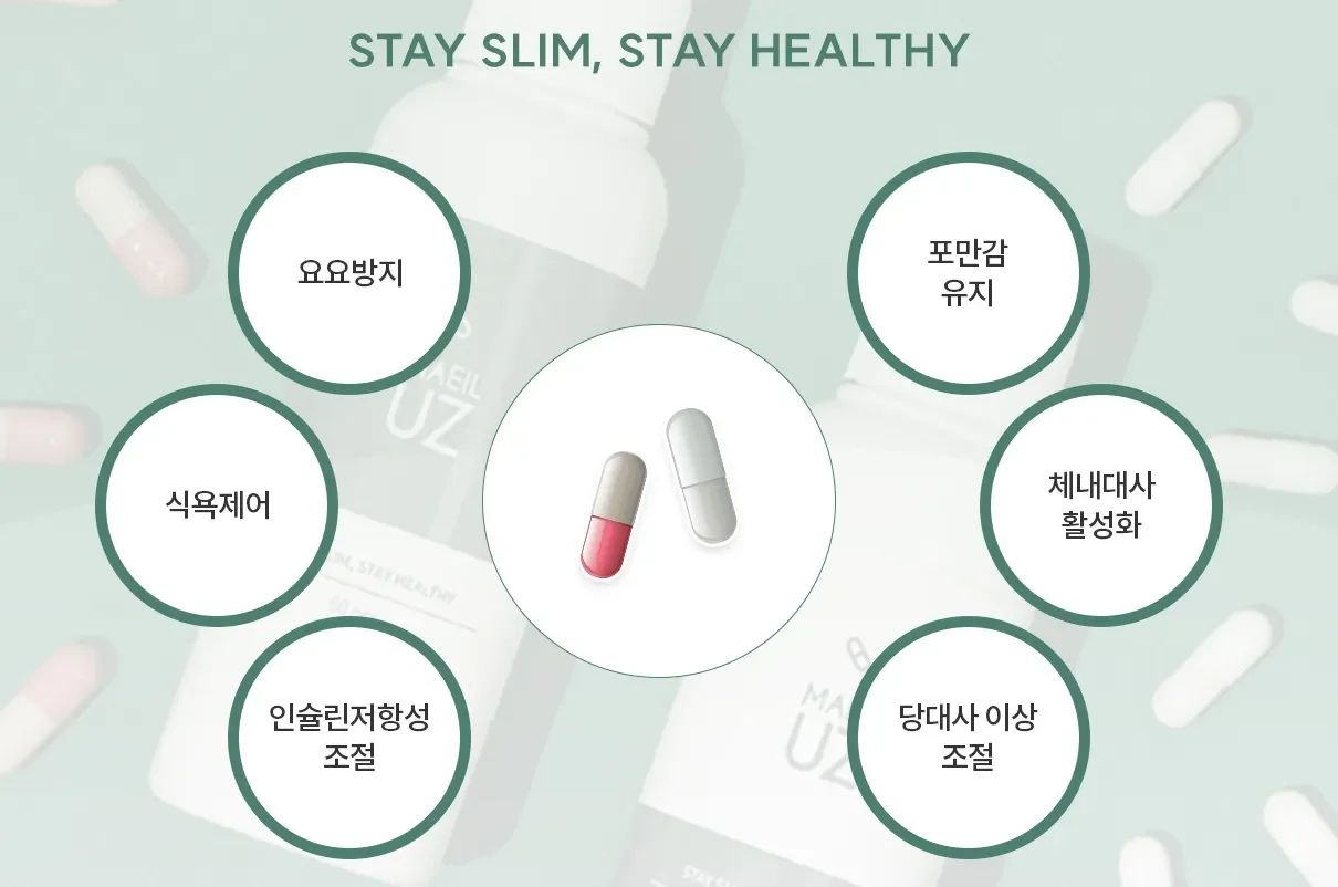 365매일한방병원 | 다이어트