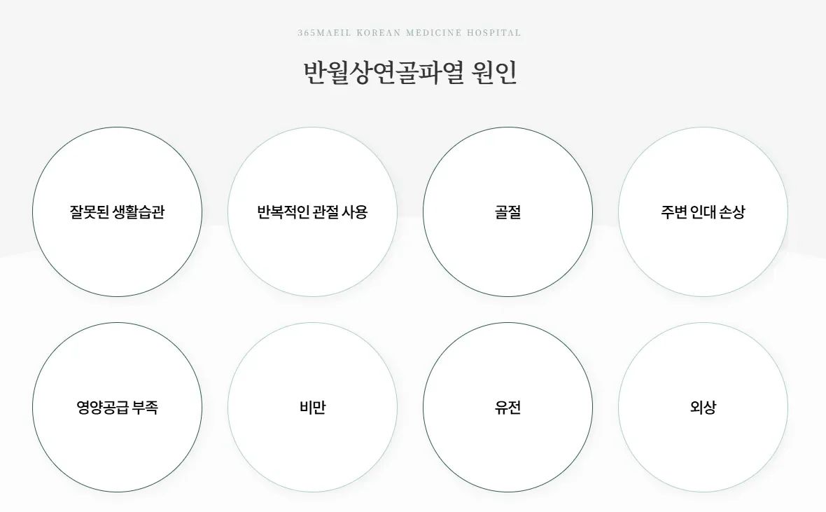 365매일한방병원