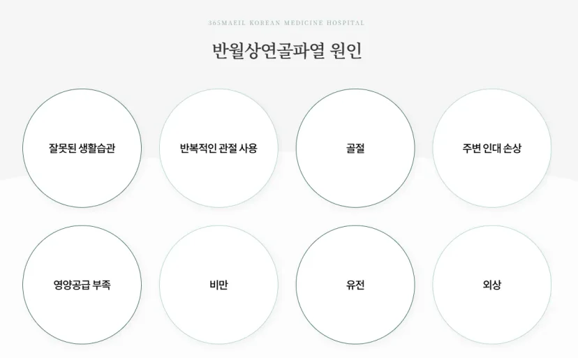 365매일한방병원