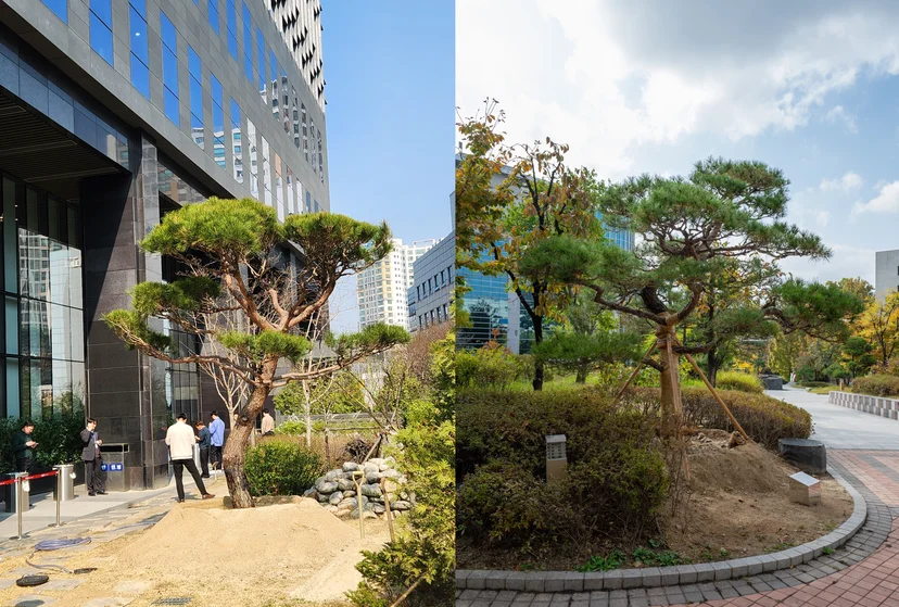 루트릭스에서 진행한 사옥 기념식수(왼쪽)와 대학교 70주년 기념식수(오른쪽)