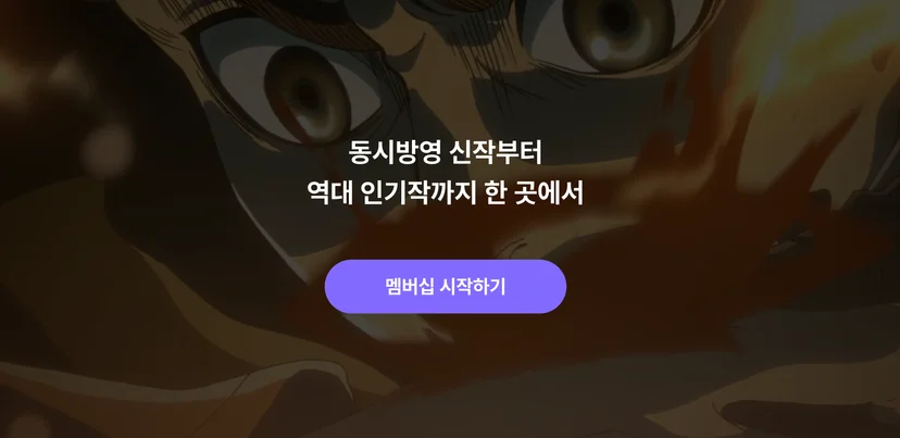 라프텔 스토어 멤버십