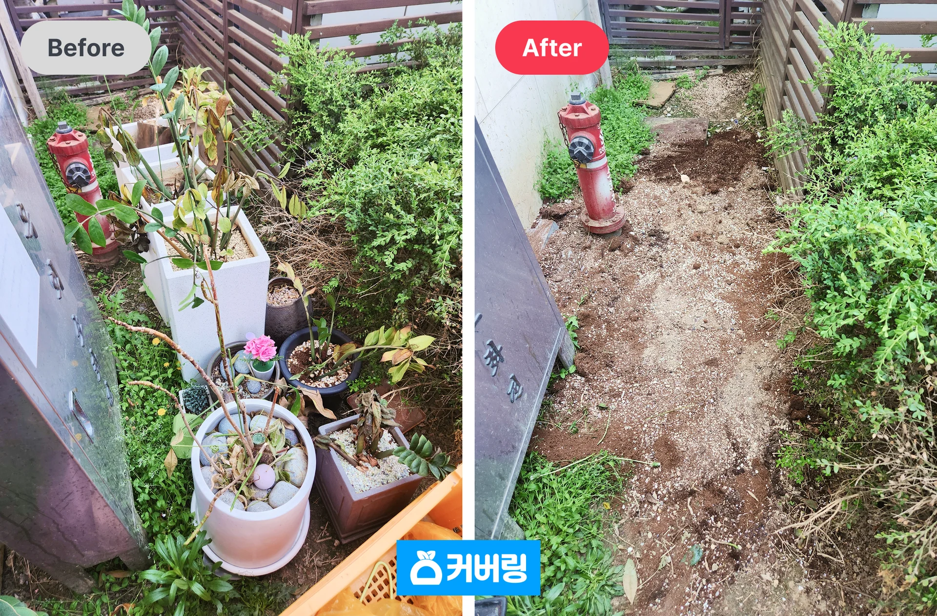 화분 버리는법 전후 비교 이미지