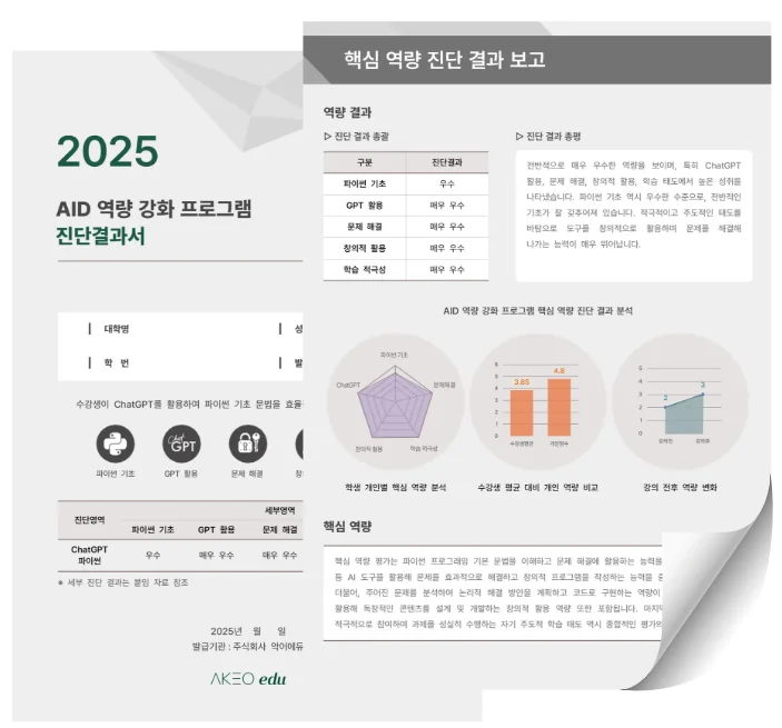 AID 역량 강화 프로그램 개별 진단결과서 예시