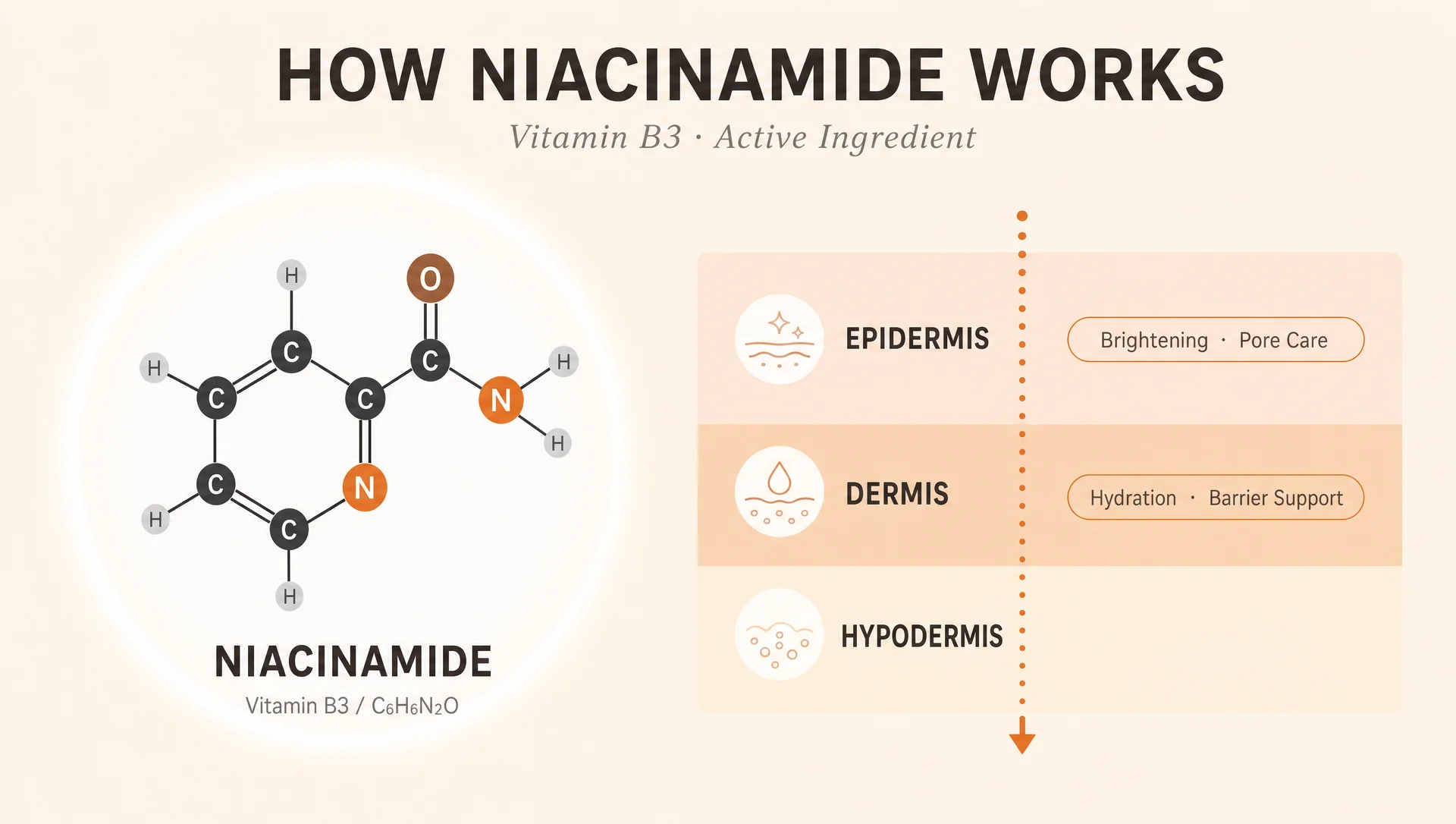 Infographic explaining how niacinamide (Vitamin B3, C6H6N2O) works on skin layers — targeting the epidermis for brightening and pore care, the dermis for hydration and barrier support, and the hypodermis