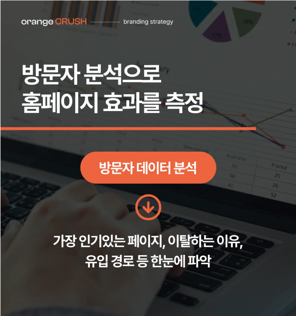 방문자 데이터 분석