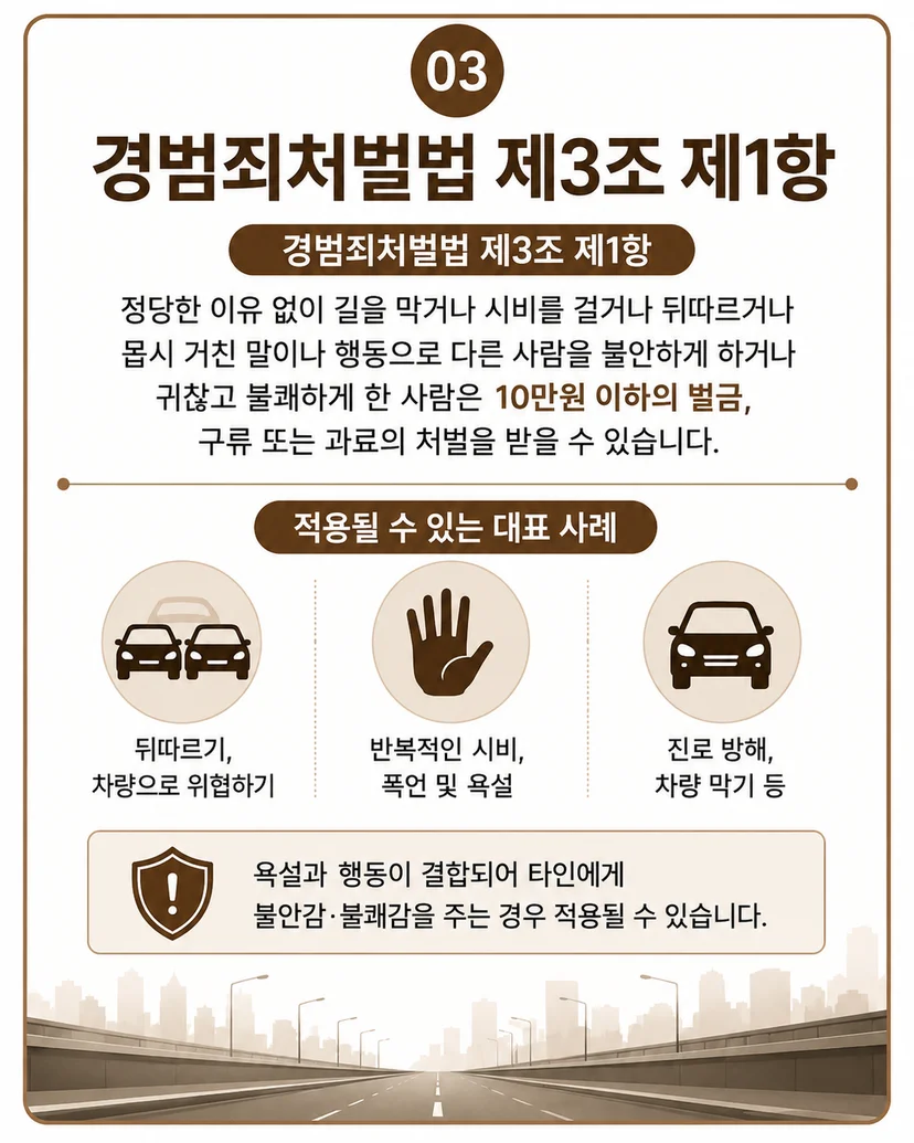 경범죄 처벌법 규정