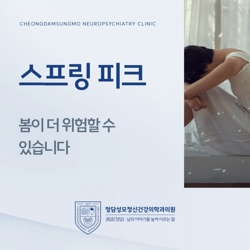 스프링 피크 표지
