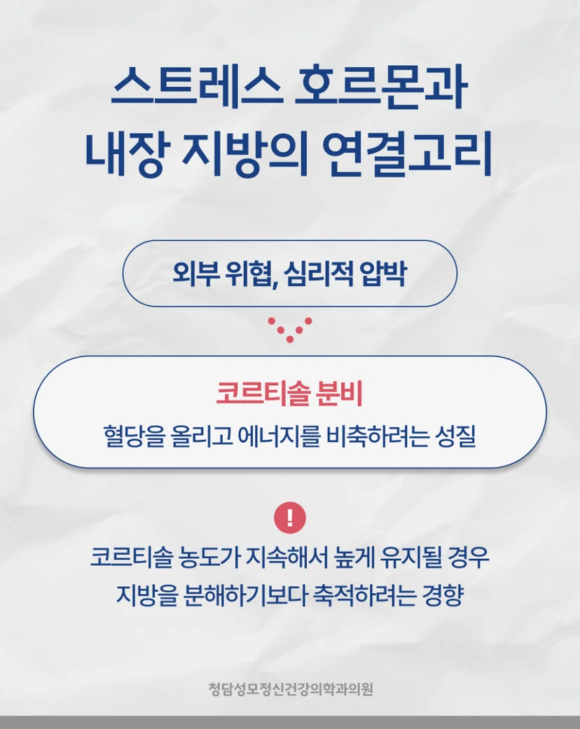 비만 스트레스 호르몬