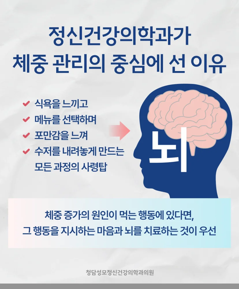 비만 정신과 치료 원리