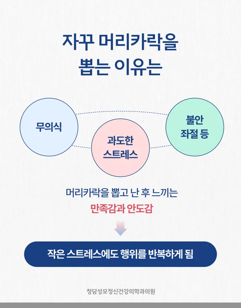 머리카락을 뽑는 이유