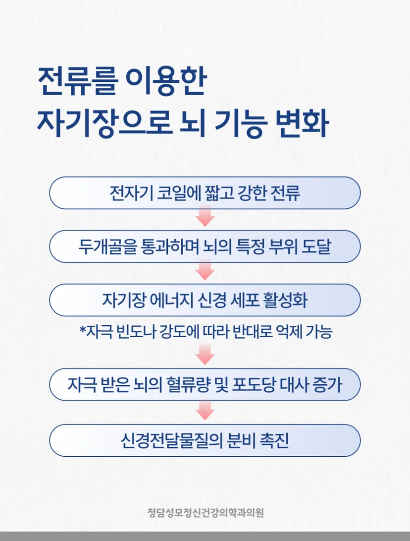 TMS 작용 원리