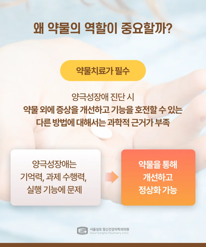 양극성장애 치료약물