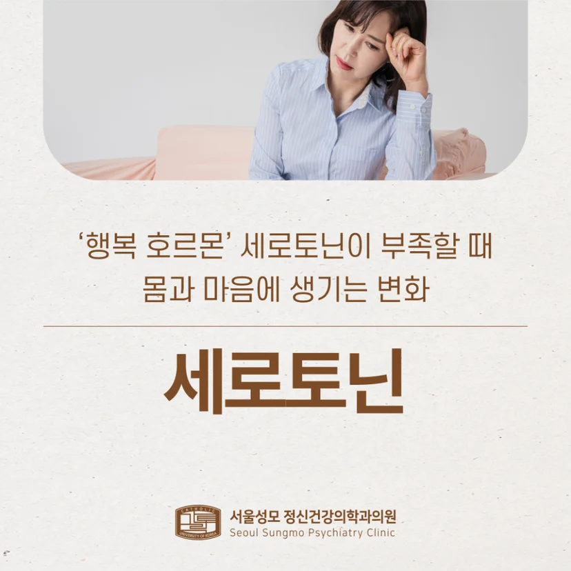 세로토닌 표지