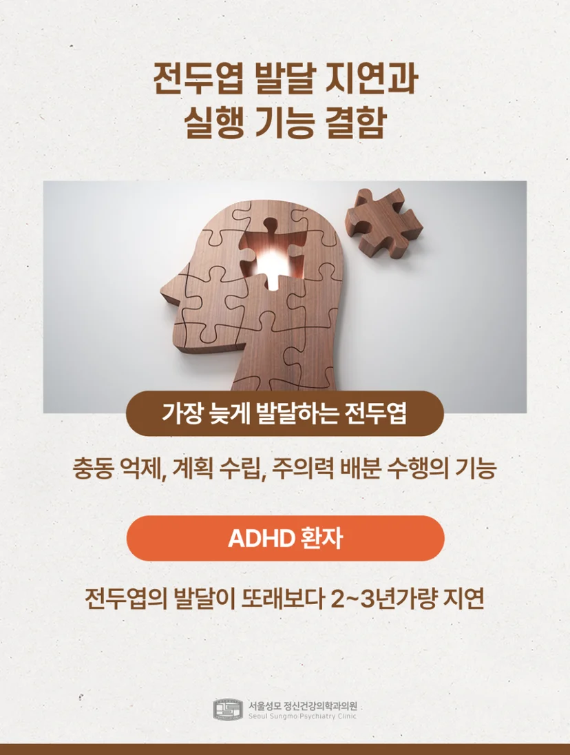 ADHD 전두엽 발달 지연과 실행 기능 결함