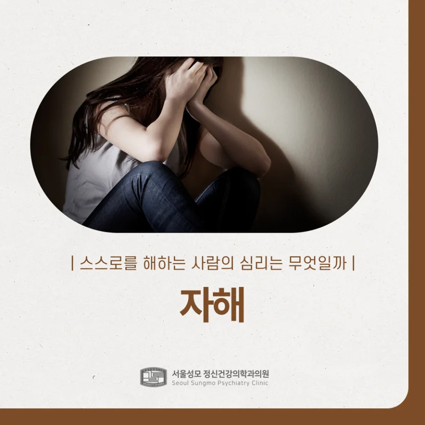 자해 표지