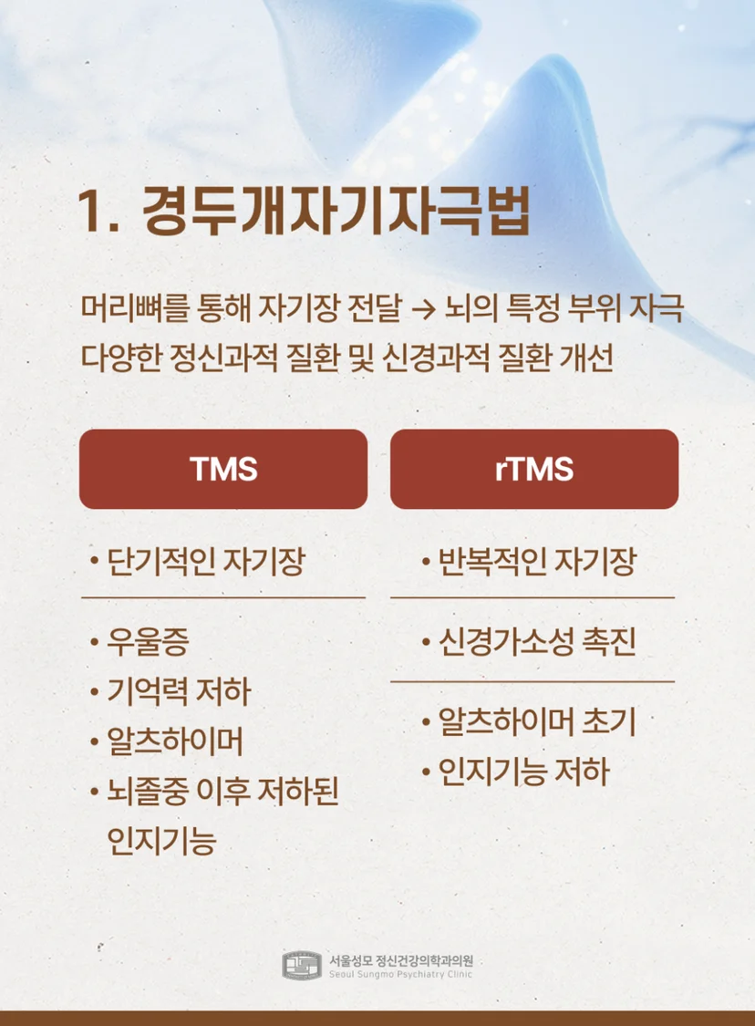 경두개자기자극법 설명