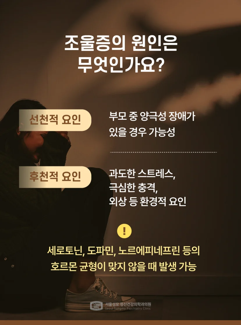조울증 원인 설명
