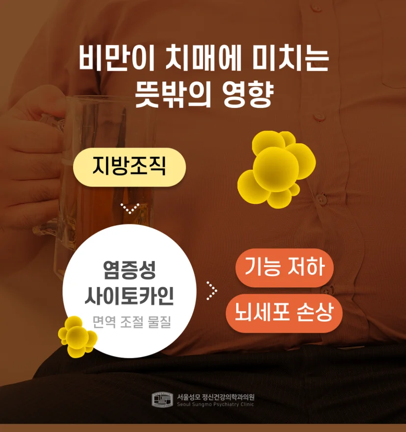 비만이 치매에 미치는 영향