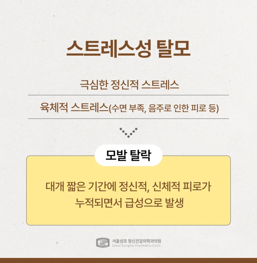 스트레스성 탈모 정의