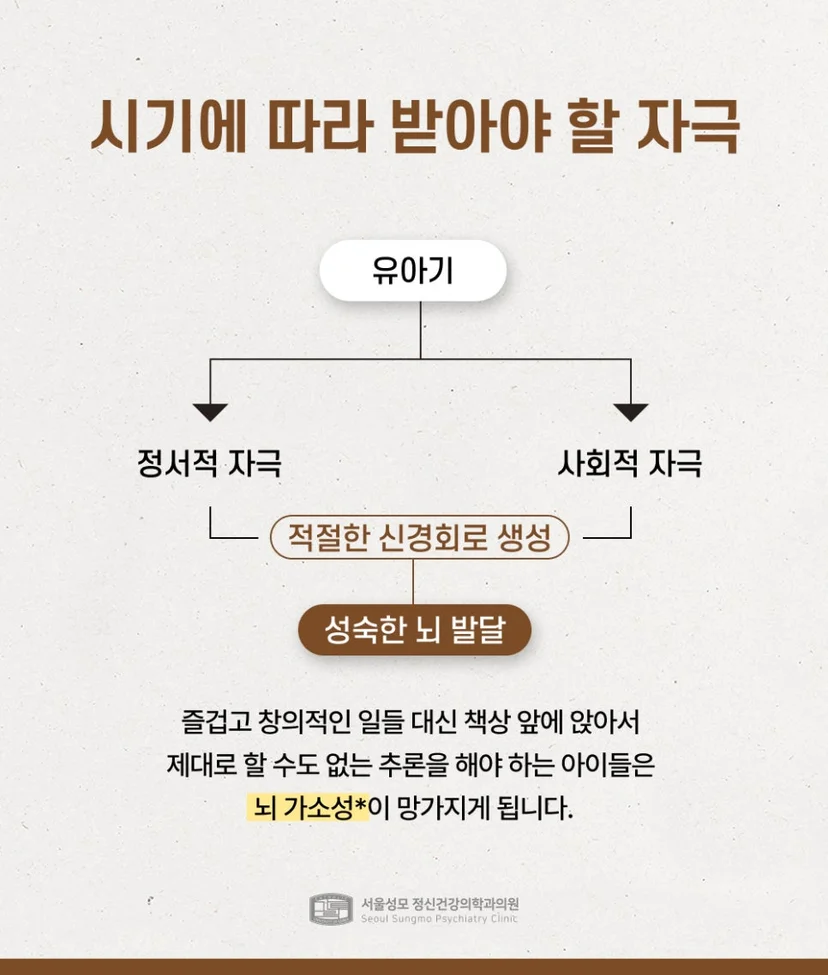 뇌 가소성을 망치는 조기교육
