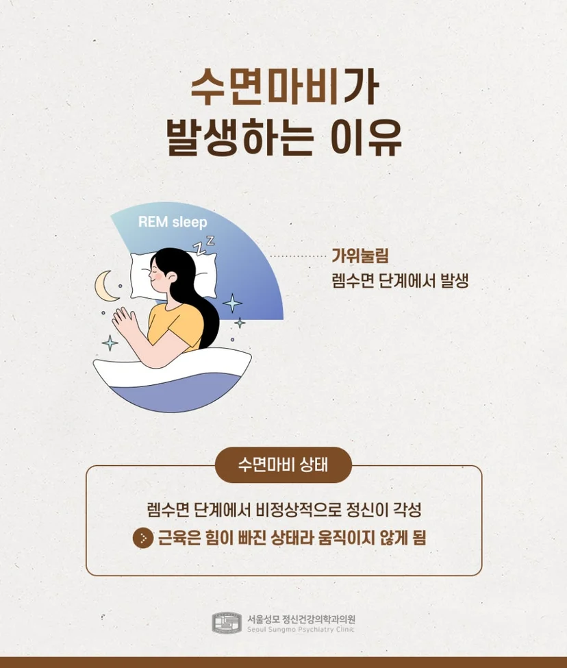 수면마비의 원인