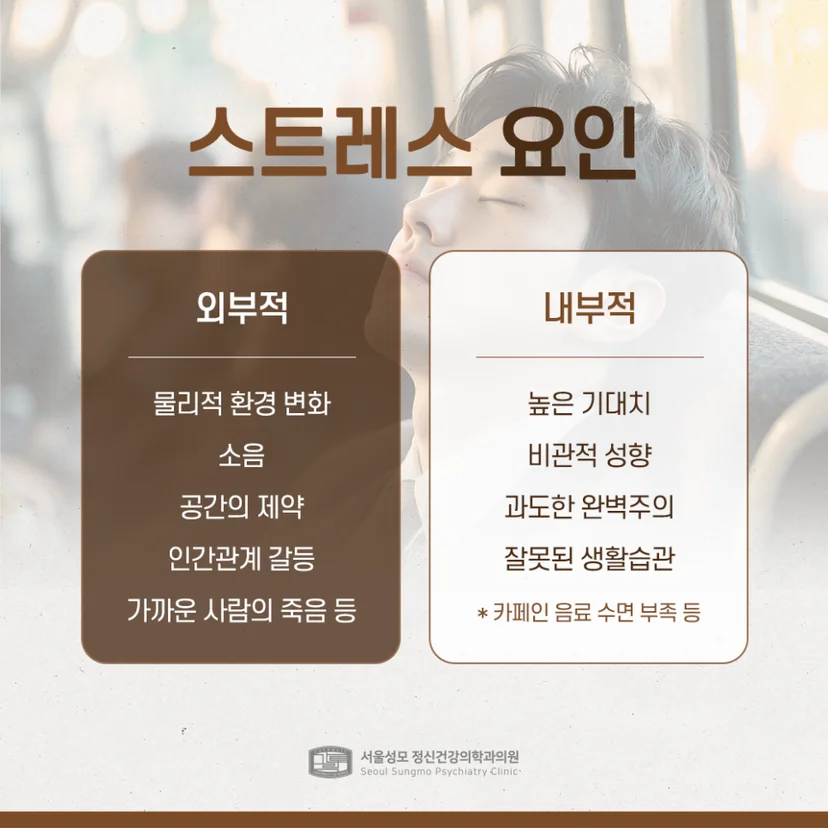스트레스 요인 설명
