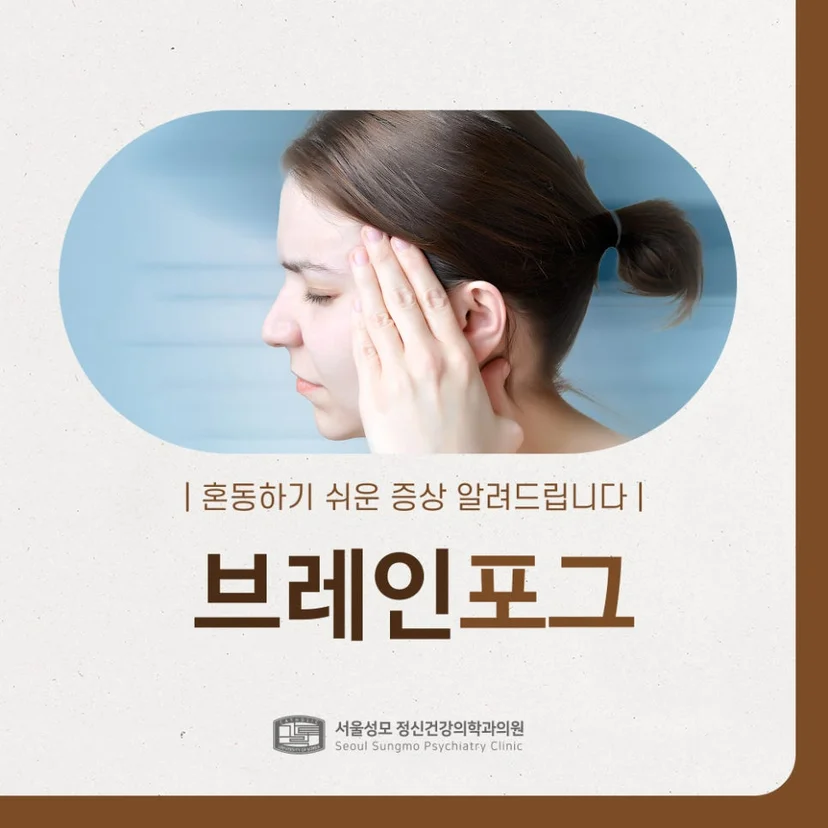 브레인포그 표지
