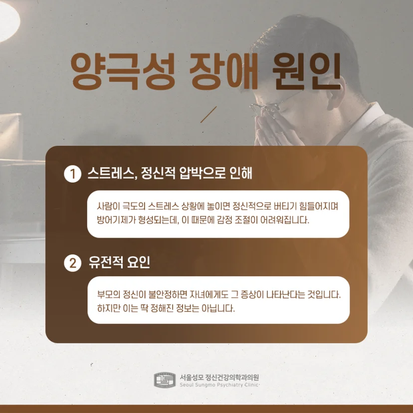 양극성 장애 원인