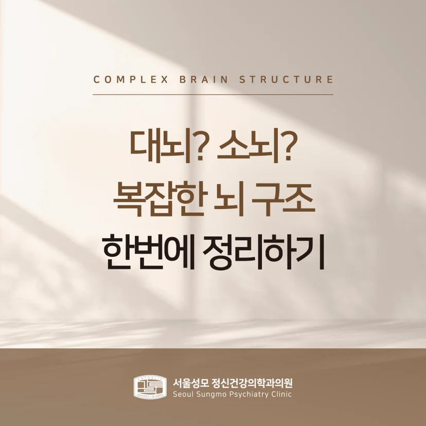 뇌 구조 표지