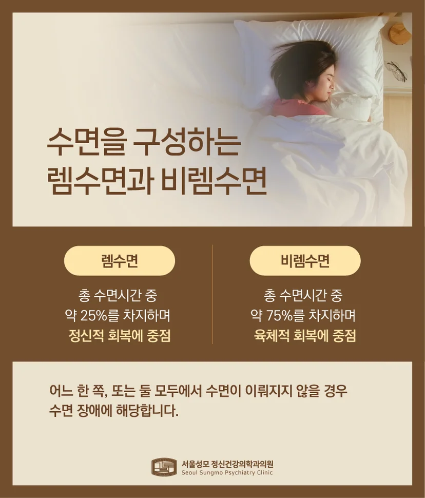 렘수면 및 비렘수면 설명
