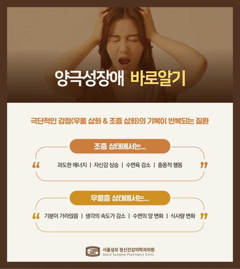 양극성장애 설명