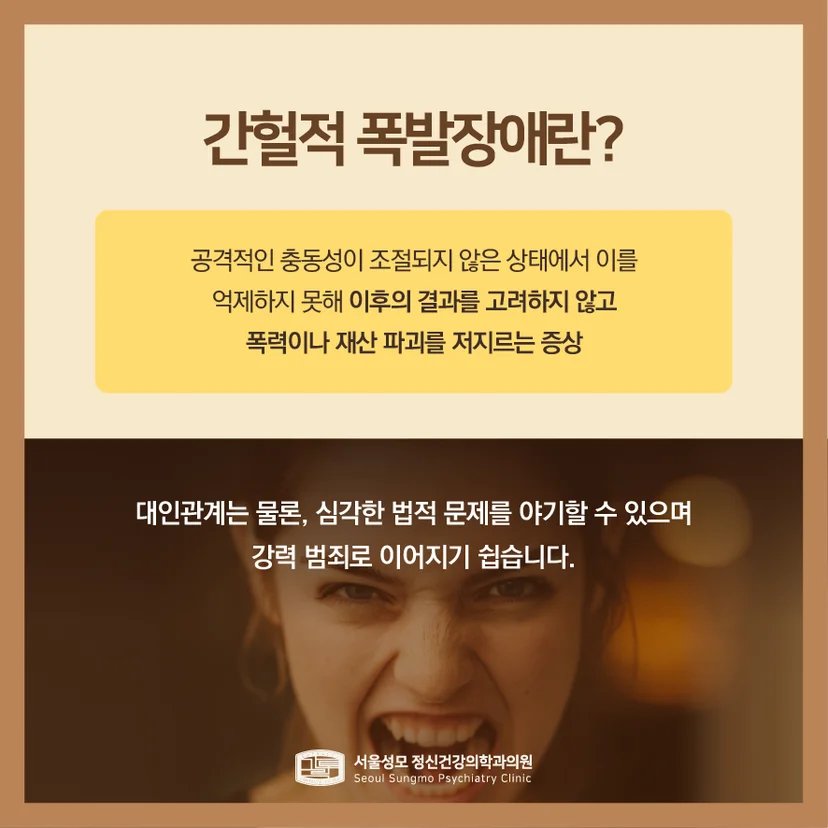 간헐적 폭발장애 설명