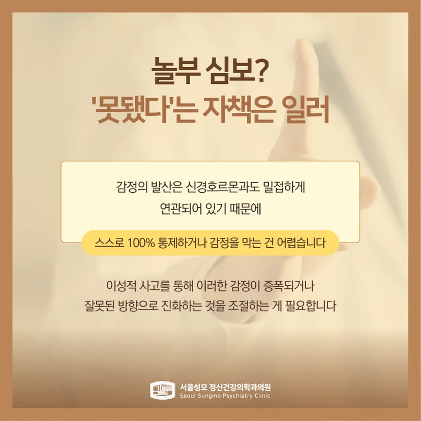 샤덴프로이테 설명