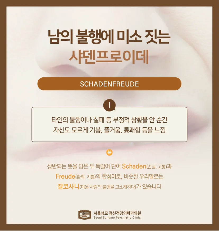 샤덴프로이테 설명
