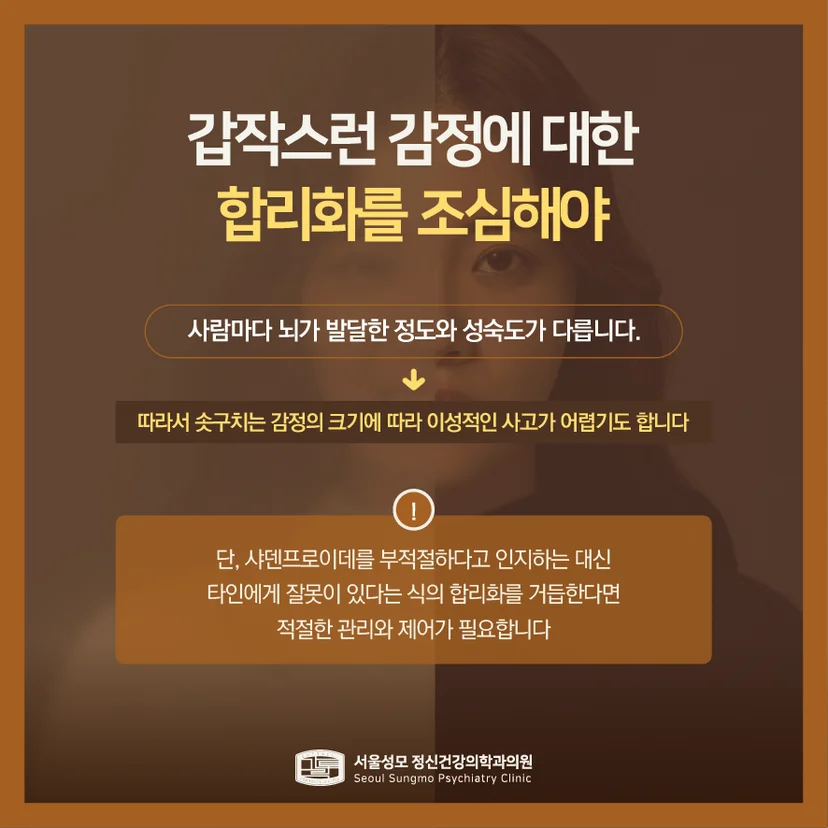 샤덴프로이테 관리